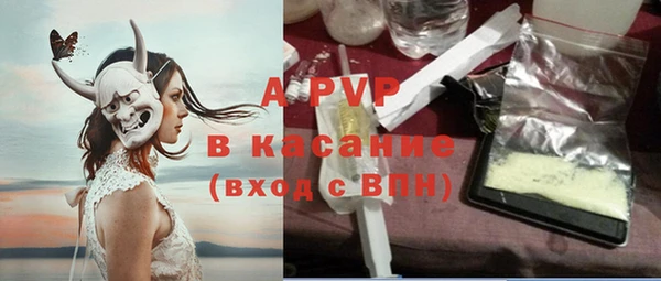 индика Горнозаводск