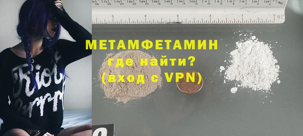индика Горнозаводск