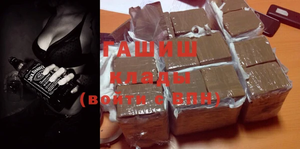 индика Горнозаводск