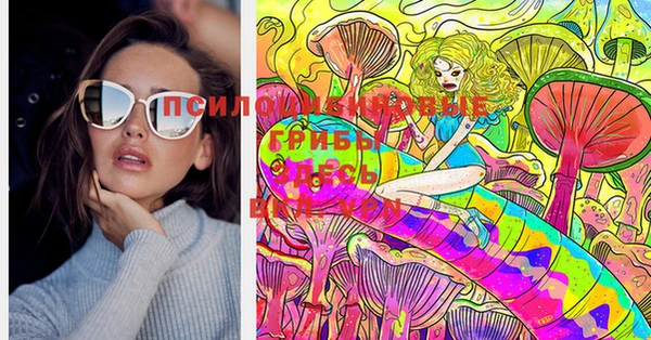 мет Горно-Алтайск