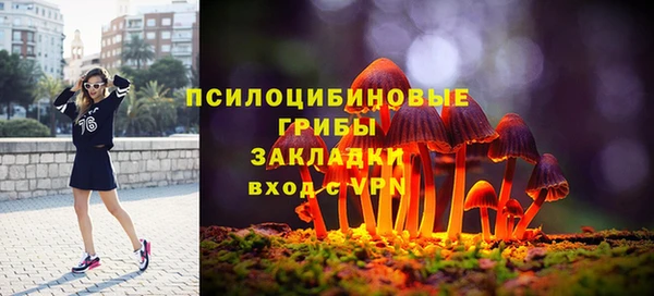 мет Горно-Алтайск