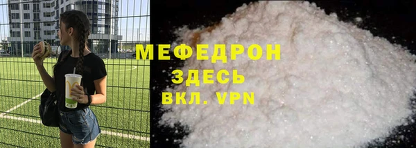 индика Горнозаводск